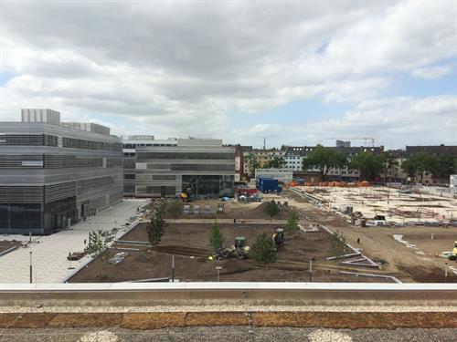 Campus Derendorf, May 2015